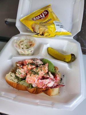 Fresh Maine Lobster roll plate