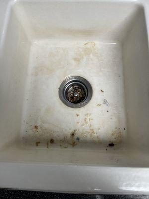 Our sink first thing Monday morning after Coverall "cleaned"