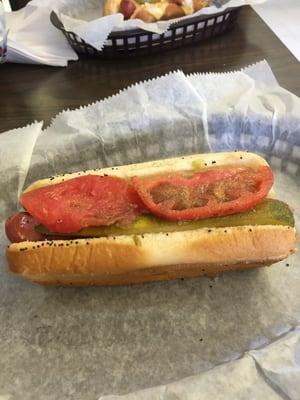 Chicago style dog!