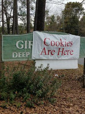 You read it hear.  Cookies are here!