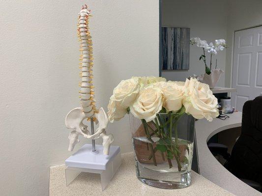 Spine and roses