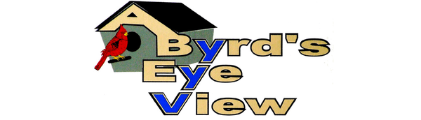 A Byrd's Eye View