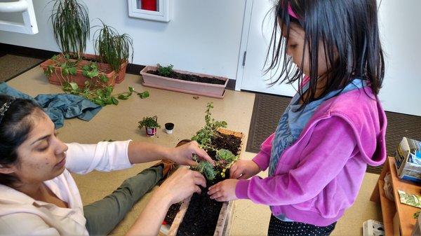 Hands on projects gardening and planting with students!