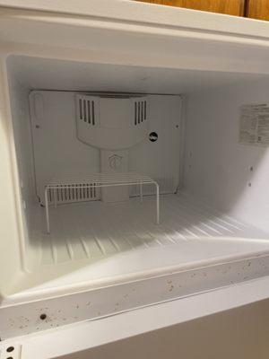 Que do limpio el refrigerador