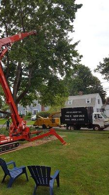 Neighbors tree was trimmed and these guys did an excellent job - very good attention to safety and detail of their work