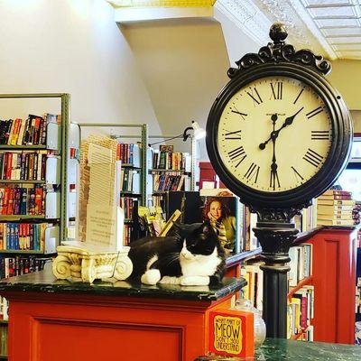 Bookstore cat!