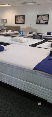 Inside the mattress store