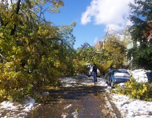 tree removal