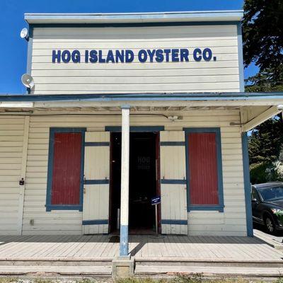 Best local oysters!