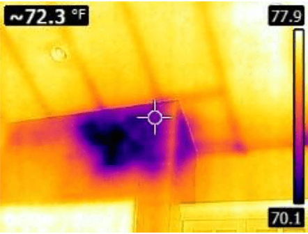 Thermal Image showing a leak in the chimney. Call Veteran Home Inspectors to book your inspection today!