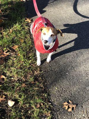 Cold November day on the Rail Trail