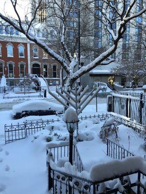 Covered Menorah and trees that look like a Menorah in front of Chabad House