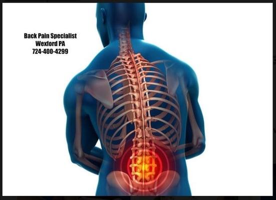 Lower Back Pain in Wexford PA