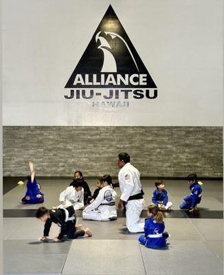 Alliance Brazilian Jiu Jitsu