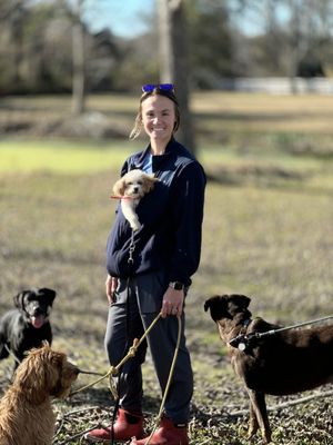 Y-Farms Kennels