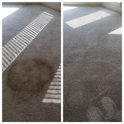 Another great carpet cleaning before and after!