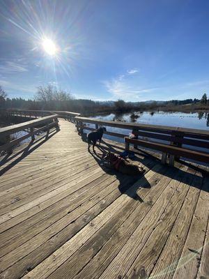 The beauty of walking on the boardwalk ok for wheelchairs on this side