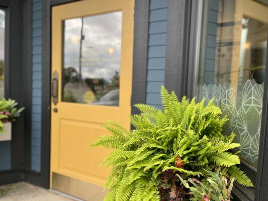 Front door and windows with flower boxes.