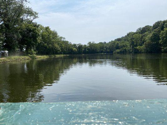 Ride the Erie/Ohio canal with draft horses pulling you along.