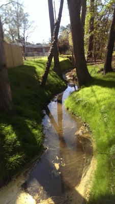 StreamBank Restoration utilizing FIltrexx GroSoxx