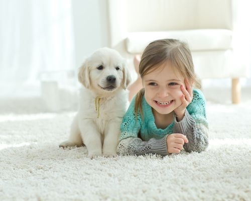 Hypo-Allergenic Carpet Cleaning