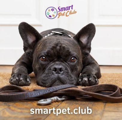 Smart Pet Club