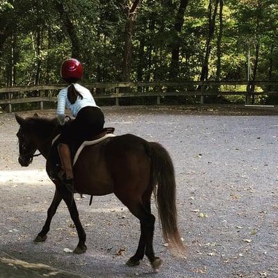 Teeny tiny pony - Group evaluation lesson