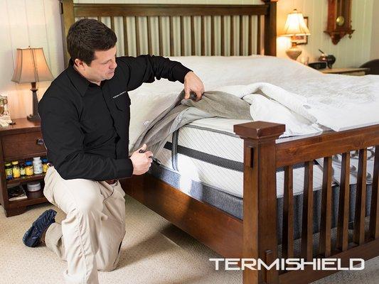 Termishield