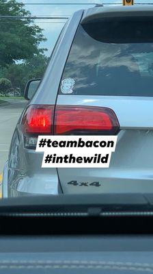 Join the club! #TeamBacon #InTheWild