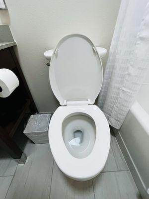 Standard size toilet. Non-ADA room.