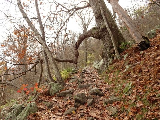 Mary's Rock trail