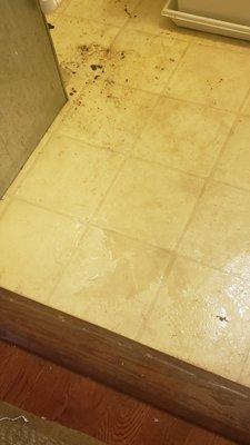 Interior fiber glass debris and water left on the floor with no mention or citing by service person.