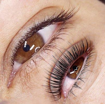 Lash Lifting