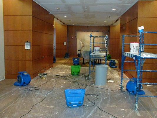 Phase 2 Lombard Carpet Cleaning Services