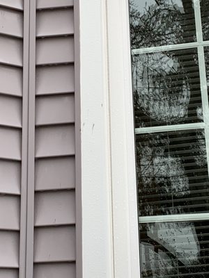 Damaged windows and siding