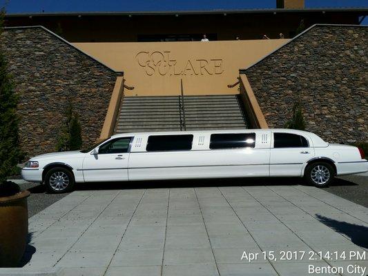 Moonlit Ride Limousine