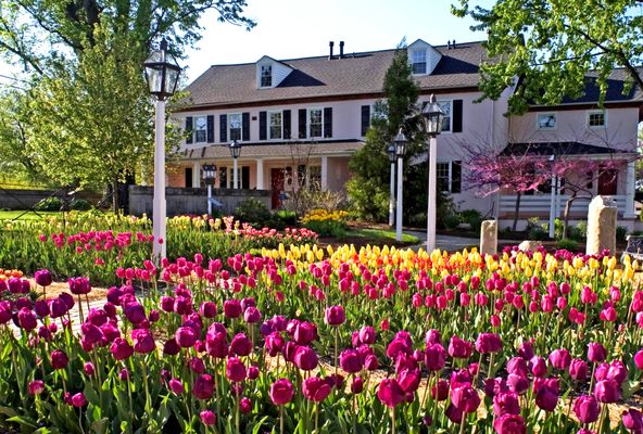 Spring at the Inn!