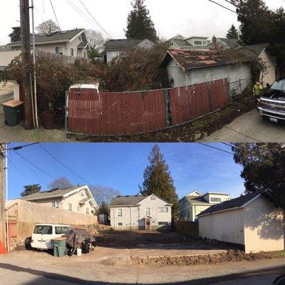 Before and after of a complete landscape clean up of a Seattle property