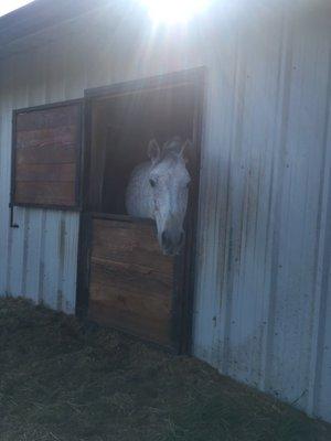 Saturday horseback my fave time of the week