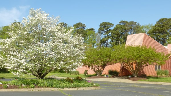 Unity Church of Tidewater