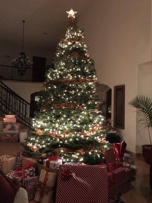 Our 12 foot tree took a lot of lights, but it looked great come Christmas!