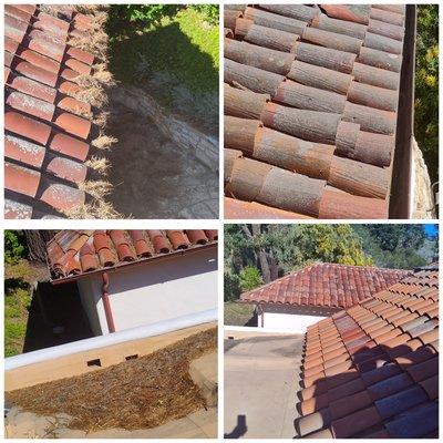 We will clean your roof and Gutter System