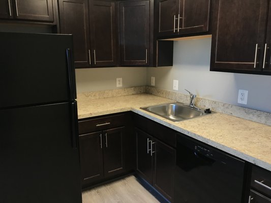 Brand new cabinets and counter tops