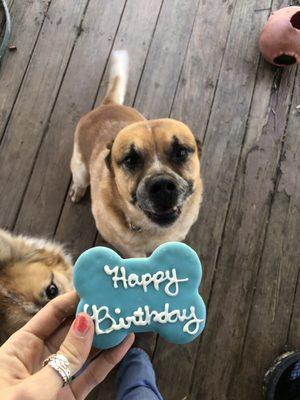 Happy Birthday Cookies!