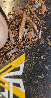 Drywood Termite Pellets: A Telltale Sign of an Infestation