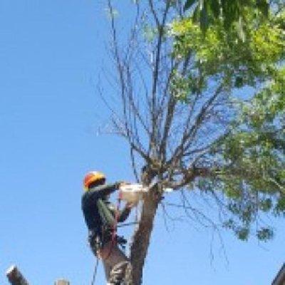 New Image Tree Services