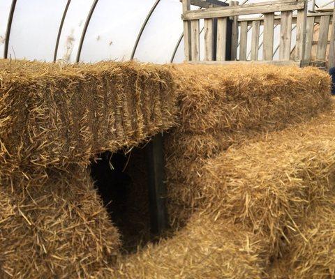 Hay Pile Tunnel!