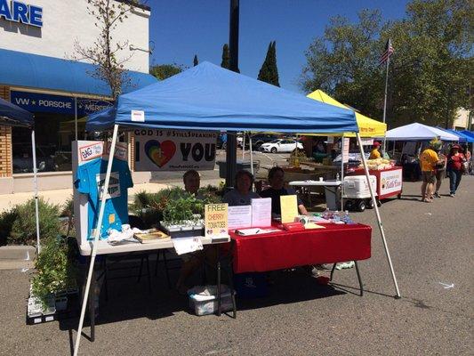 Some Kind of Earth Day Festival 2018! DIY earth- friendly produce bags and tomato seedling giveaway.