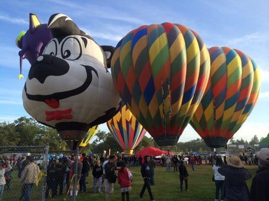 Are you ready for a fancy flight in a hot air balloon?