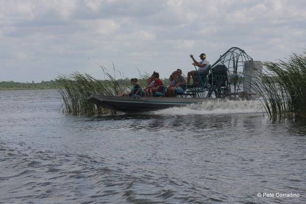 Airboat adventure!